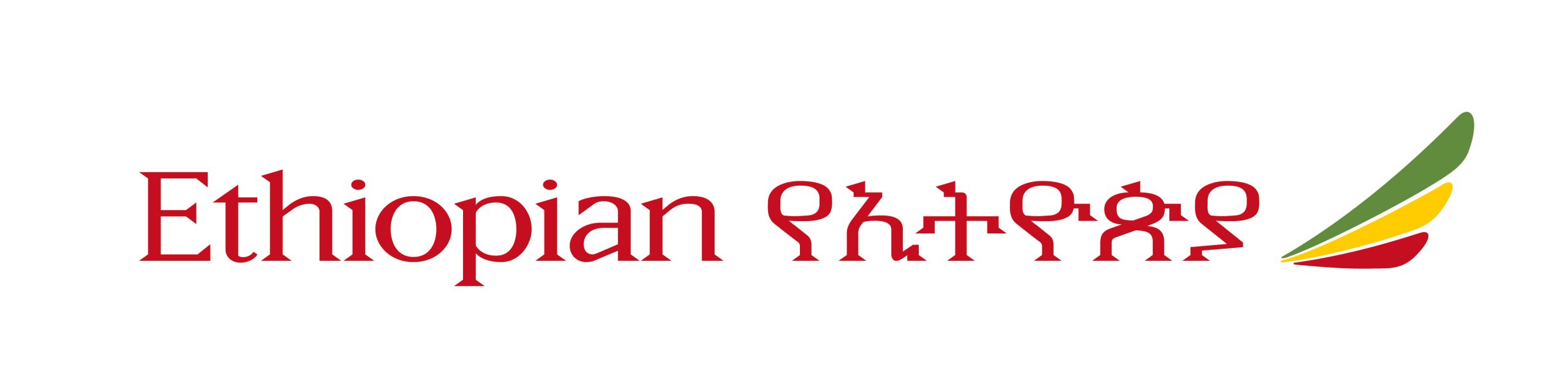 Ethiopian-Air-100x27